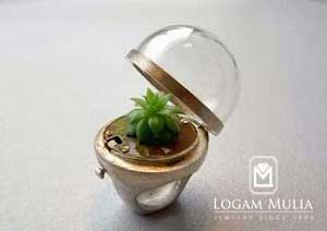 2. The Greenhouse Ring