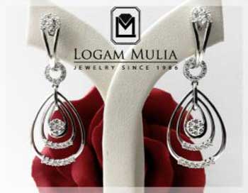 4. Model Anting Memanjang